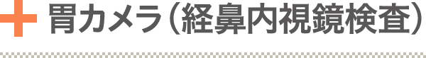 経鼻内視鏡検査